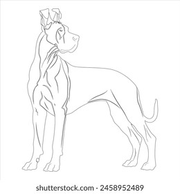 Hand drawn Great Dane dog outline illustration