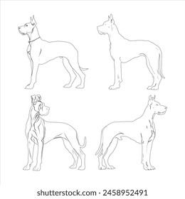 Hand drawn Great Dane dog outline illustration