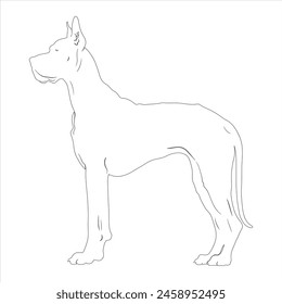 Hand drawn Great Dane dog outline illustration