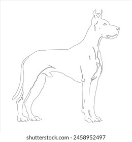 Hand drawn Great Dane dog outline illustration