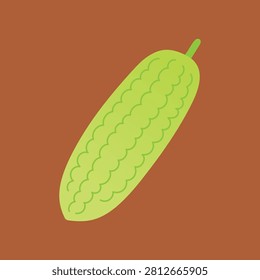 Hand drawn green bitter melon illustration