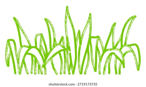 Hand drawn green grass in marker style. Childlike botanical illustration with expressive strokes, soft texture and relaxed natural feel.