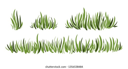 Hand drawn green grass set isolated on white background. Horizontal borders.