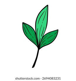 Hand drawn green leaf. Decorative colorful doodle sketch illustration. Vector botanical element isolated on white background