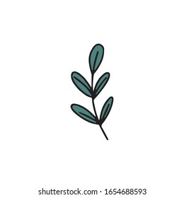 Icono de vector plano de hoja dibujada a mano aislado en un fondo blanco.