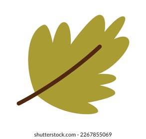 Icono plano de hoja verde dibujado a mano. Ilustración del vector