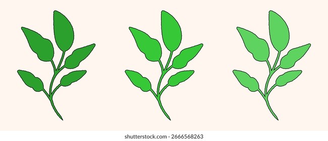  Iconos de hojas verdes dibujados a mano. Ilustración vectorial de la planta verde del verano, icono de la ecología aislado, Elementos del doodle de las hojas