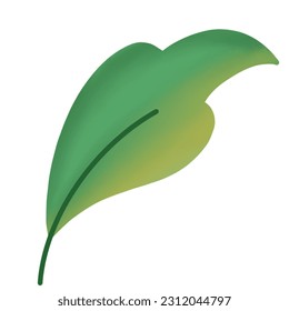 hand drawn green leaf illustration