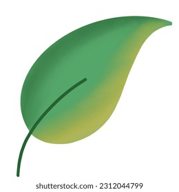 ilustración de hoja verde dibujada a mano