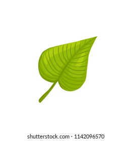 Hand drawn green leaf. Leaf in line art style isolated on white background.