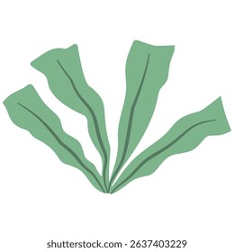 Hand Drawn Green Leaf Vector Set