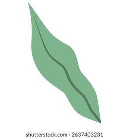 Hand Drawn Green Leaf Vector Set