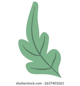 Hand Drawn Green Leaf Vector Set