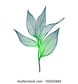 Hand drawn green leaves as design element. Line art ink sketch on white background