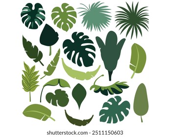 Hand drawn green leaves of various tropical background