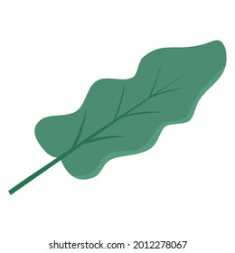 hand drawn 
Green Leaves Vector