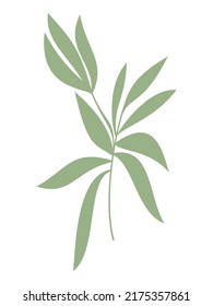 Ilustración vectorial de hojas verdes dibujadas a mano. Icono de rama abstracta aislado. Diseño floral para impresión, fondo, banner, tarjeta. Símbolo ecológico, concepto ambiental, signo ecológico, logotipo hipster.