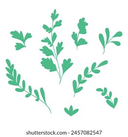 Hojas verdes dibujadas a mano, Ilustración vectorial
