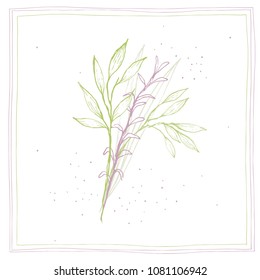 Hand Drawn Green and Lilac Twigs Illustration. Irregular Frame. White Background. Soft Green and Violet Sketch.