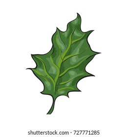 Hand drawn green mistletoe leaf, Christmas decoration element, sketch style vector illustration on white background. Realistic hand drawing of green mistletoe leaf, Xmas decoration