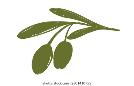 Hand drawn green olive