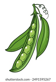 Hand drawn green pea pod. Cartoon style vector illustration.