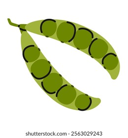 Hand drawn green pea pod. Open pea with pea beans. Nutrition organic vegetables