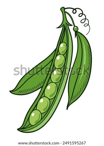 Hand drawn green pea pod. Cartoon style vector illustration.