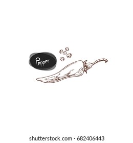 Hand drawn green pepper. Vector illustration. Sketch style.