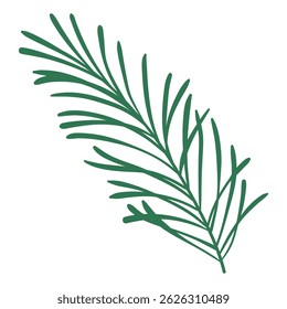Hand Drawn Green Pine Branch. Cartoon spruce branch decoration for Christmas frames and wreaths. Nature ornament. Cute fir symbol. Holidays green flat twig