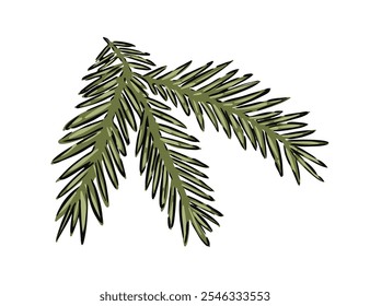 Hand drawn green pine tree branches on a white background.