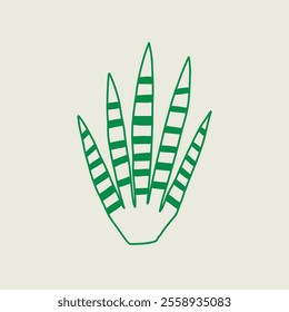 Hand drawn green plant with distinctive striped leaves, minimalistic vector design. Vector naive line art illustration