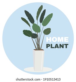 Hand drawn green plant in pot. Home decor, cozy plant, botanical leaves. Decorative floral art collection isolated on white background. Colorful greenery vector doodle illustration