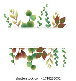 Hand drawn green plants combination vector illustration banner background, wedding decoration elements, spring, summer plants, branches, leaves,