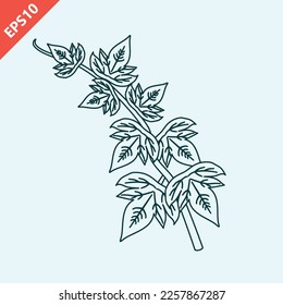 Hand drawn green poison ivy leaves design vector flat modern isolated illustration