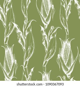Hand drawn green seamless food pattern with corn. Ink drawn botanical illustration in realistic style for print, wrapping, paper,fabric,textile and other seamless natural design.