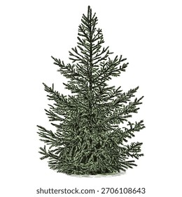 Árbol de abeto verde dibujado a mano. Ilustración vectorial.