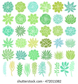 Hand Drawn Green Succulent Flower. Desert Plant Icons Isolated On White. Vector Illustration