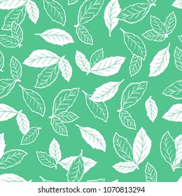 Hand drawn Green tea leaves or Mint Leaf Seamless pattern. Medicinal plants or Spicy Herbs Vector Background