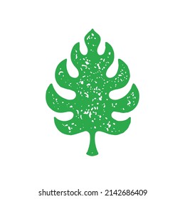 Hand drawn green tropical leaf grunge texture vector illustration. Monochrome natural paradise palm tree leaves with ornamental edges and stem isolated on white. Decorative design fern foliage