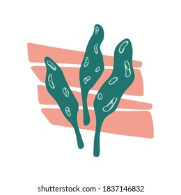 Hand drawn green twigs, grass isolated on a white background. Doodle, simple illustration. It can be used for decoration of textile, paper. The style of minimalist for interior design.