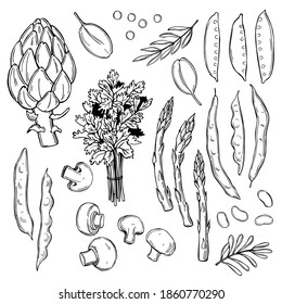 Hand drawn green vegetables and Champignon mushrooms on white background. Vector sketch  illustration. 