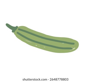 Hand drawn green zucchini isolated on white background.  Healthy food and garden harvest concept.
