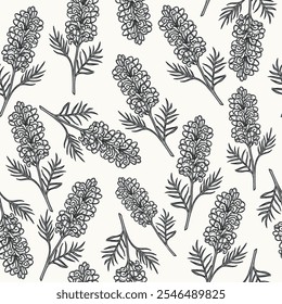 Hand drawn grevillea flower seamless pattern. Australian native plant