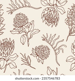 Hand drawn grevillea, protea, kangaroo paw, waratah background