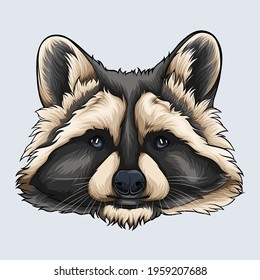 Hand drawn grey and beige Raccoon face illustrated with shadows and lights isolated on white background