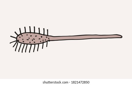 Hand drawn grooming tools. Vector illustration of hairdresser accessories. Barber shop, pet service. Hairbrush isolated on white background.