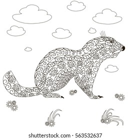 Hand drawn groundhog, black and white anti stress vector illustration