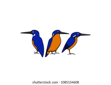Hand drawn group of Azure Kingfishers made in vector. Beautiful animal design element, ink drawing, logo template