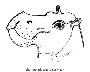 hand drawn, grunge, sketch illustration of hippopotamus